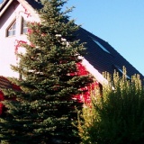 Ferienwohnung Heiterer Blick