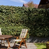 Ferienwohnung Möbius und Ferienhäuschen